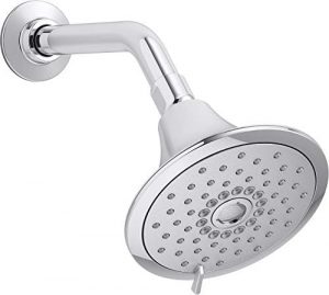 Kohler Forté Multifunction Showerhead K-22169