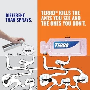 Terro T300 Liquid Ant Baits