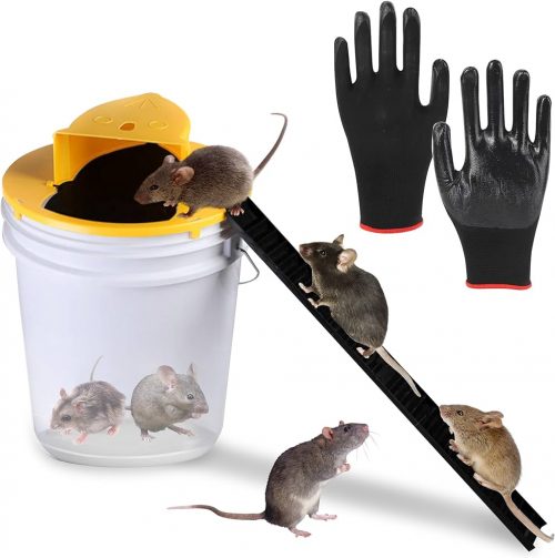 Cinco trampas para ratones sin muerte eficaces en interior y exterior, Top  reviews, Escaparate