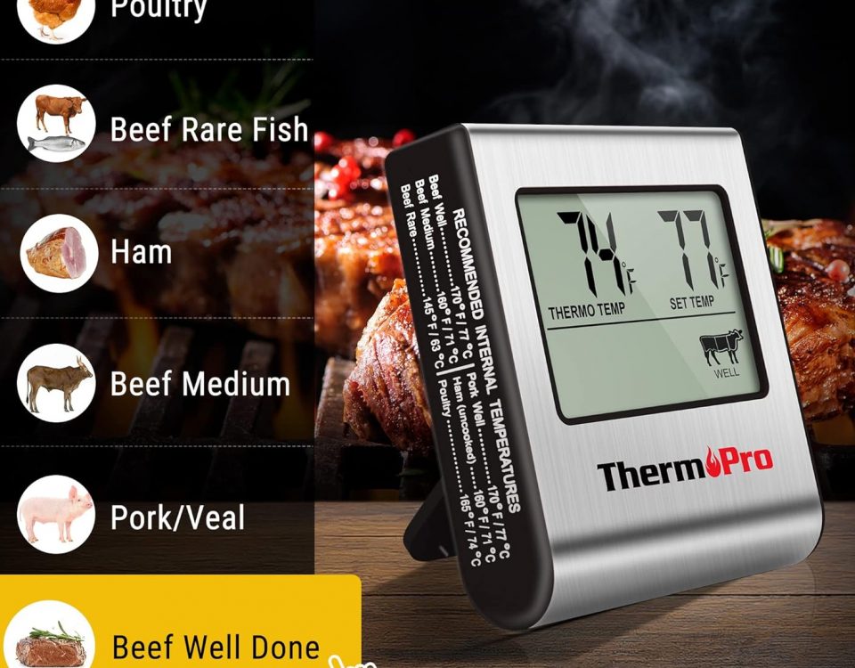 ThermoWorks Dot
