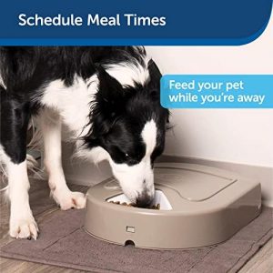 PetSafe 5-Meal