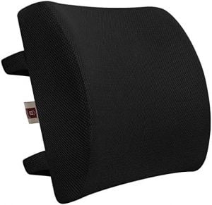 LoveHome Memory Foam Lumbar Support Back Cushion