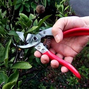 ARS HP-VS8Z Signature Heavy Duty Pruner