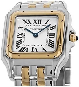 Cartier Panthere Silver 