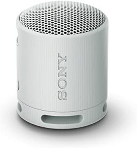 Sony SRS-XB100