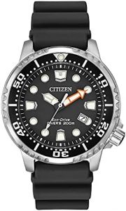 Citizen Promaster Dive Eco-Drive Watch